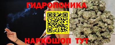 jwh Изобильный