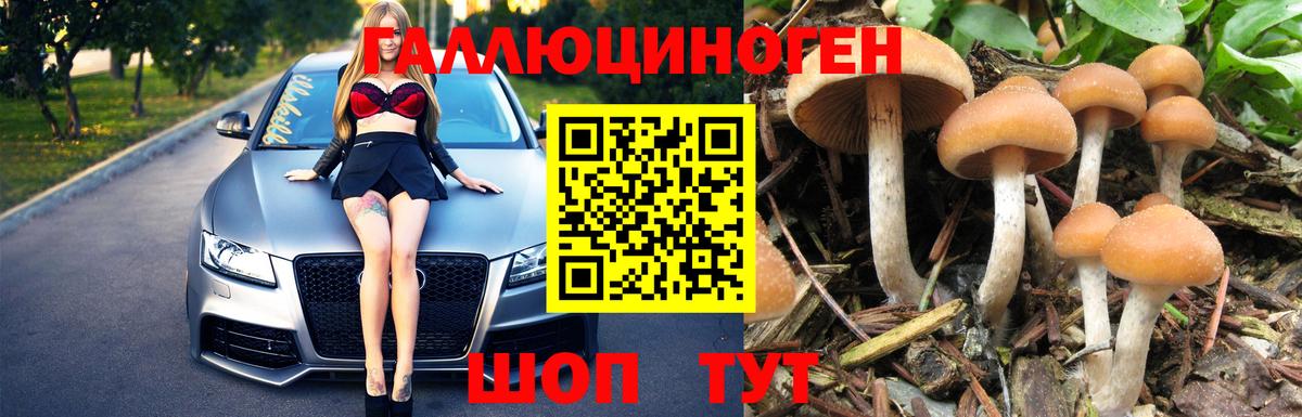 Псилоцибиновые грибы GOLDEN TEACHER  Вход с VPN  Кстово  Псилоцибиновые грибы ЛСД 